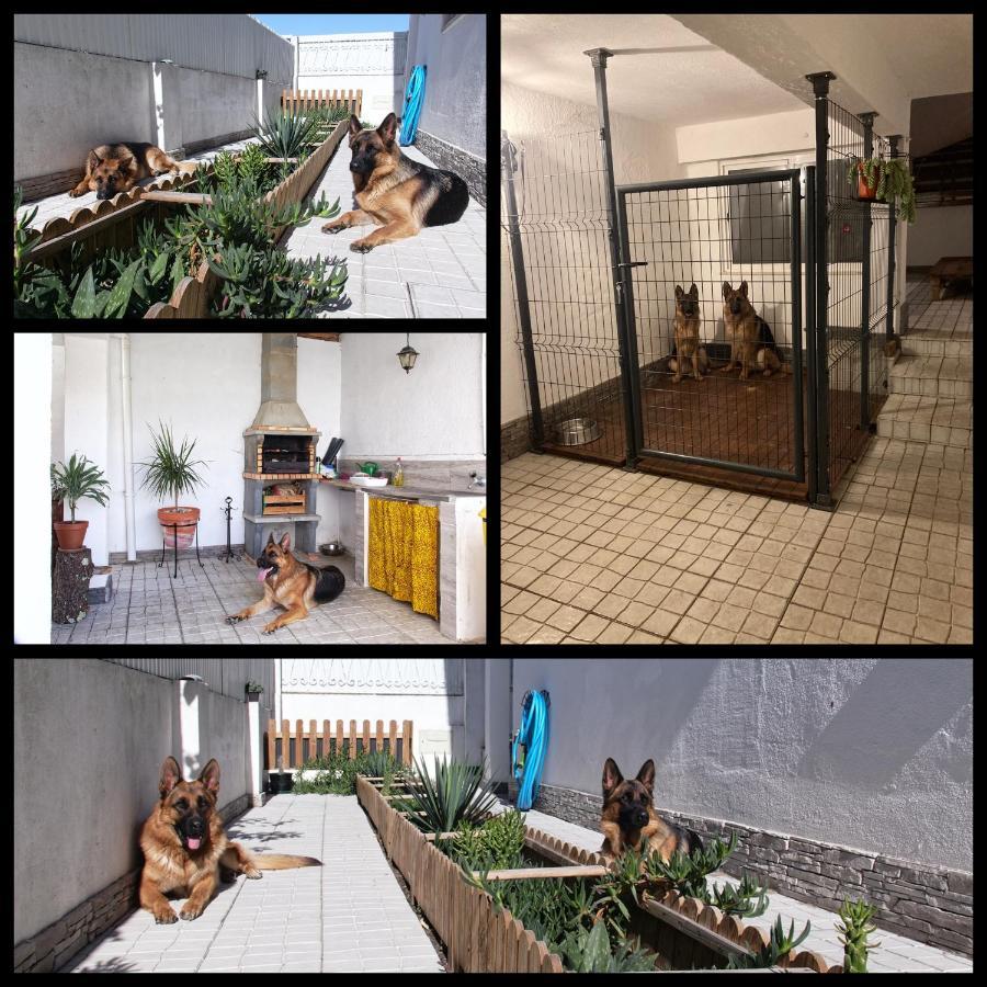 Toca Do Lobo Apartman Charneca  Kültér fotó