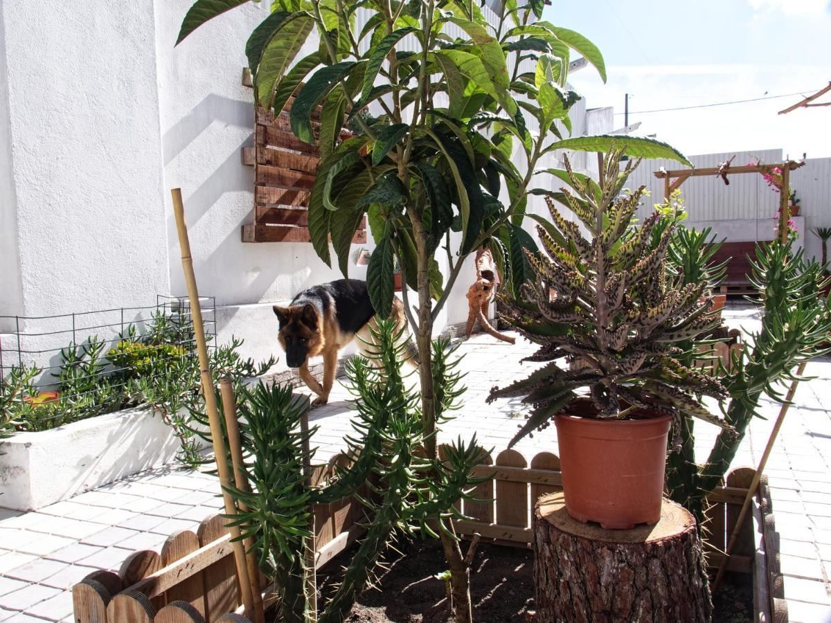 Toca Do Lobo Apartman Charneca  Kültér fotó